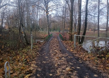 Tiltelis per upelę Juoda