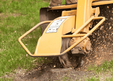 stump grinding