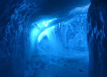 video et photo reportage