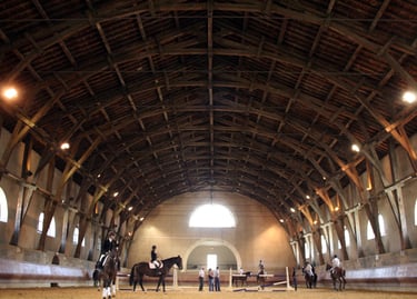 video et photo equitation tarascon