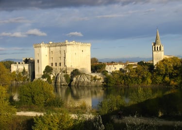 video et photo  tarascon