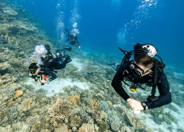 instructor guiding children in a dive