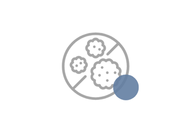 alt="Illustration representing mold remediation and black mold removal services"