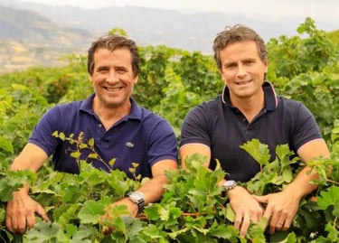 Gunther e Klaus Di Giovanna, vino biologico Sicilia. DOC Contessa Entellina DOC Sambuca di Sicilia