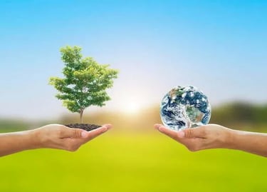 Environmental Advocacy