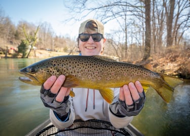 South Holston River March 2025 fishing report