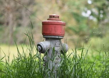 Orange well cap in tall grass
