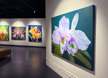 Gallery installation of museum-scale monumental botanical art by Christine Knize 