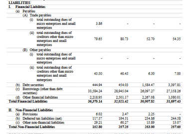 liabilies of balance sheet of sbfc finance ipo analysis_the moat investor