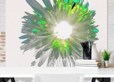 Canvas Prints on an office wall with an artistic Daisy flower printed on it 