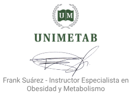 logo unimetab