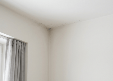 Moho por condensación en esquina de techo y pared interior