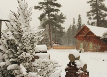 Cabaña en bosque cubierto de nieve