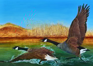 Taking Flight, Oils on Copper by Clare Littleton