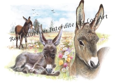 Aquarelle – collection Les ânes – cadeau original et unique – JDG Loz’Art – Lozère