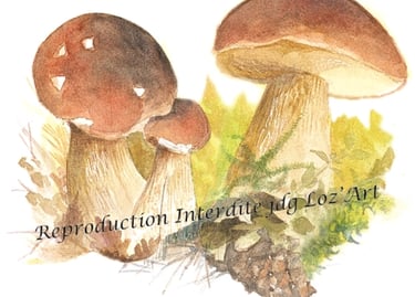 Aquarelle – collection Divers – parfums des bois en Lozère – cadeau original et unique – JDG Loz’Art