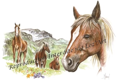 Aquarelle – collection Chevaux – cadeau original et unique à offrir – JDG Loz’Art – Lozère