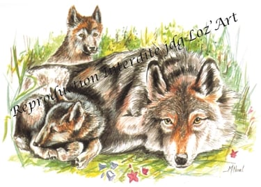 Aquarelle – collection Loups – cadeau original et unique – JDG Loz’Art – Lozère