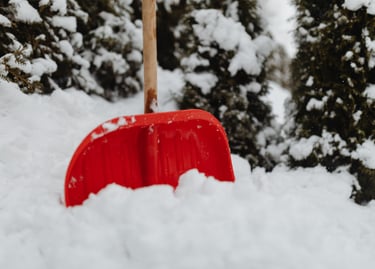 a red shovel, which was used to shovel the snow, with snowy pine trees in the background