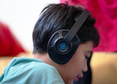 Therapeutic Listening (TL)