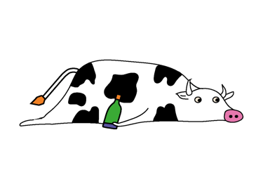 Vache en mode after au Chalma’Fest – Quand même les vaches profitent un peu trop du festival !