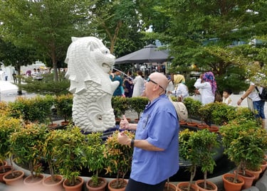 The Pirate stops for a drink at the smaller Merlion