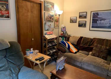 decluttered-living-room-after-photo