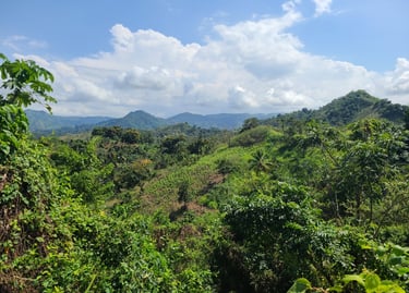 Miches, Playa Esmeralda, Redonda Mountain