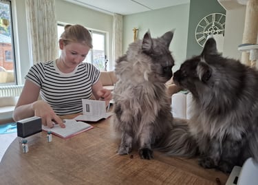 kat of hond vaccineren