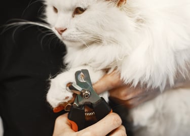 Nagels knippen van huisdier hond of kat