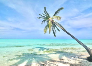 Palawan expedition tours – where every night feels like paradise