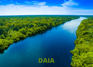daia - licenciamento para área de app