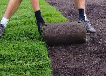 A person installing turf on a lawn.