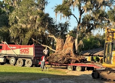 Huge stump was in the way. Removed by SOS Septic and Sewer