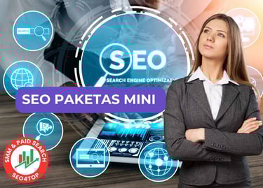 SEO paslaugos paketas MINI