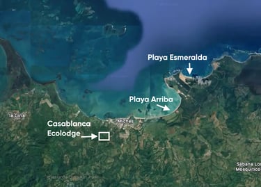 Photo satellite Miches Playa Esmeralda