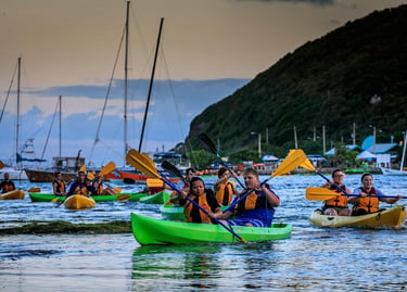 Bioluminescent Night Kayaking — Puerto Rico