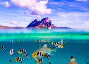 Bora Bora Lagoon Sailing Experience — French Polynesia