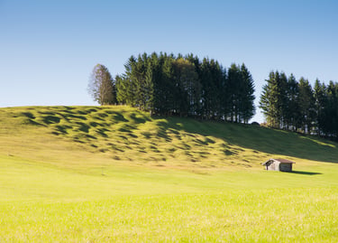 Rustic wooden barn on a rolling green hillside with pine trees under a clear blue sky.