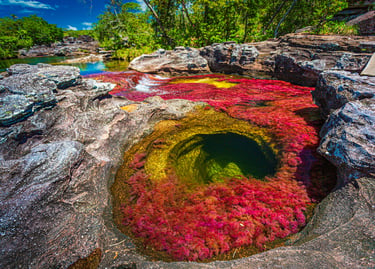 Caño Cristales, Colombia