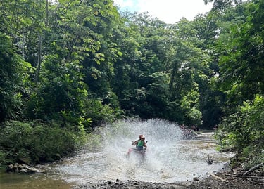 Costa Rica Jungle Adventure Tour — Costa Rica
