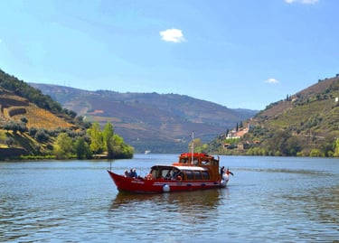 Douro Valley River Wine Cruise — Portugal