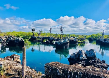 Galápagos Wildlife Cruise — Ecuador