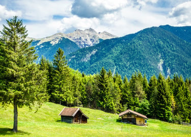 Rustic wooden cabins in a lush green meadow of the Swiss Alps with pine forests and mountain peaks.