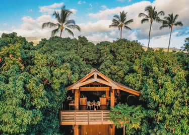 Hotel Wailea — Maui, Hawaii