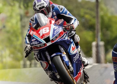 Professional motorcycle racer performing a wheelie on a blue and red sportbike during a road race.