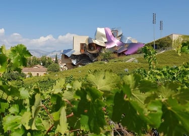La Rioja Wine & Culinary Tour — Spain