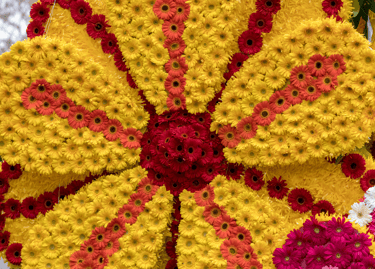 A massive floral display of yellow and red gerbera daisies arranged in a large sunburst pattern.