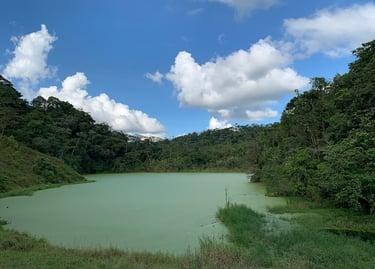 A scenic view of a green tropical lake surrounded by lush rainforest trees under a blue sky with white clouds.