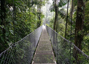 Metal hanging bridge stretching through a lush tropical rainforest canopy in Costa Rica.